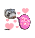 ふぇれはむず12（個別スタンプ：8）