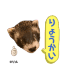 ふぇれはむず12（個別スタンプ：21）