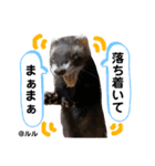 ふぇれはむず12（個別スタンプ：22）