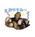 ふぇれはむず12（個別スタンプ：24）