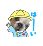 アレク犬のスタンプ2021夏（個別スタンプ：3）
