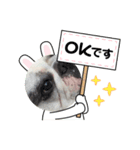 アレク犬のスタンプ2021夏（個別スタンプ：5）