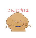 ふわふわ子犬のぽぽたん（個別スタンプ：2）