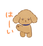 ふわふわ子犬のぽぽたん（個別スタンプ：13）