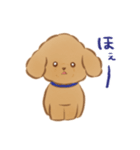 ふわふわ子犬のぽぽたん（個別スタンプ：33）