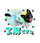 狆＆狆チワ兄妹の使えるスタンプ2（個別スタンプ：13）