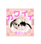 狆＆狆チワ兄妹の使えるスタンプ2（個別スタンプ：28）
