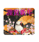 狆＆狆チワ兄妹の使えるスタンプ2（個別スタンプ：40）