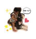 我が家の天使❣️（個別スタンプ：1）