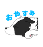 ボーダーコリー 凛ちゃん②（個別スタンプ：1）