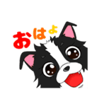 ボーダーコリー 凛ちゃん②（個別スタンプ：2）
