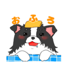 ボーダーコリー 凛ちゃん②（個別スタンプ：3）