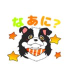 ボーダーコリー 凛ちゃん②（個別スタンプ：7）