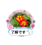 花や樹木の挨拶2（個別スタンプ：4）