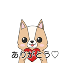 わんこの日常！（個別スタンプ：3）