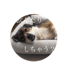 ジョン様その5（個別スタンプ：7）