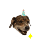ジョン様その5（個別スタンプ：8）