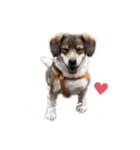 ジョン様その5（個別スタンプ：11）