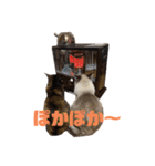 我が家の猫。にゃんしろくろみーちび（個別スタンプ：18）