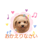 毎日ワンコ ⑤（個別スタンプ：14）