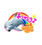 御蔵島のイルカと子供たちが描いたイルカ（個別スタンプ：2）