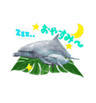 御蔵島のイルカと子供たちが描いたイルカ（個別スタンプ：6）