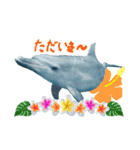 御蔵島のイルカと子供たちが描いたイルカ（個別スタンプ：7）