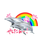 御蔵島のイルカと子供たちが描いたイルカ（個別スタンプ：8）