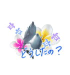 御蔵島のイルカと子供たちが描いたイルカ（個別スタンプ：9）