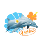 御蔵島のイルカと子供たちが描いたイルカ（個別スタンプ：11）