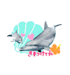 御蔵島のイルカと子供たちが描いたイルカ（個別スタンプ：22）