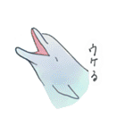 御蔵島のイルカと子供たちが描いたイルカ（個別スタンプ：36）