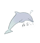 御蔵島のイルカと子供たちが描いたイルカ（個別スタンプ：37）