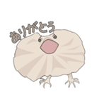 エリマキトガケ（個別スタンプ：1）