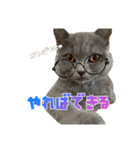 とろろちゃんの日常1（個別スタンプ：11）