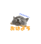 とろろちゃんの日常1（個別スタンプ：12）