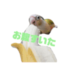 ドビーちゃんとかいう猫（個別スタンプ：4）