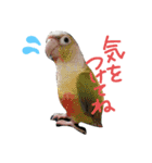 ドビーちゃんとかいう猫（個別スタンプ：8）