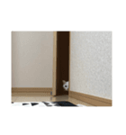 キノコと猫（個別スタンプ：6）