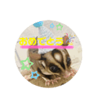 フクロモモンガのくろまめ☆☆3（個別スタンプ：8）