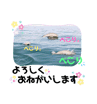 海。空撮スタンプ⑤（個別スタンプ：4）