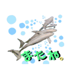 海。空撮スタンプ⑤（個別スタンプ：10）