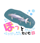 海。空撮スタンプ⑤（個別スタンプ：16）