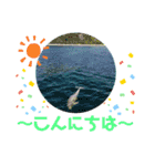 海。空撮スタンプ⑤（個別スタンプ：21）