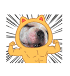 alexandre/new stamp（個別スタンプ：5）