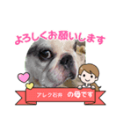 alexandre/new stamp（個別スタンプ：8）