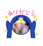 愛鳥ぴーすけ！！！②(追加版)（個別スタンプ：7）