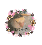 愛鳥ぴーすけ！！！②(追加版)（個別スタンプ：9）