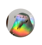 愛鳥ぴーすけ！！！②(追加版)（個別スタンプ：15）