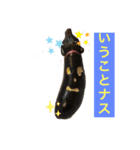 ハチワレにゃんこのつぶやき（個別スタンプ：4）